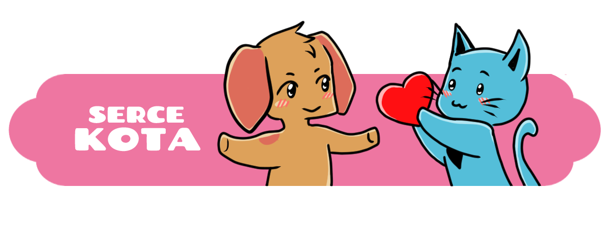 Serce kota Pies i kot z sercem, Serce Kota Iocte Nocte, komiks dla dzieci, maraton 8h lomcia, urocza opowieść o miłości.