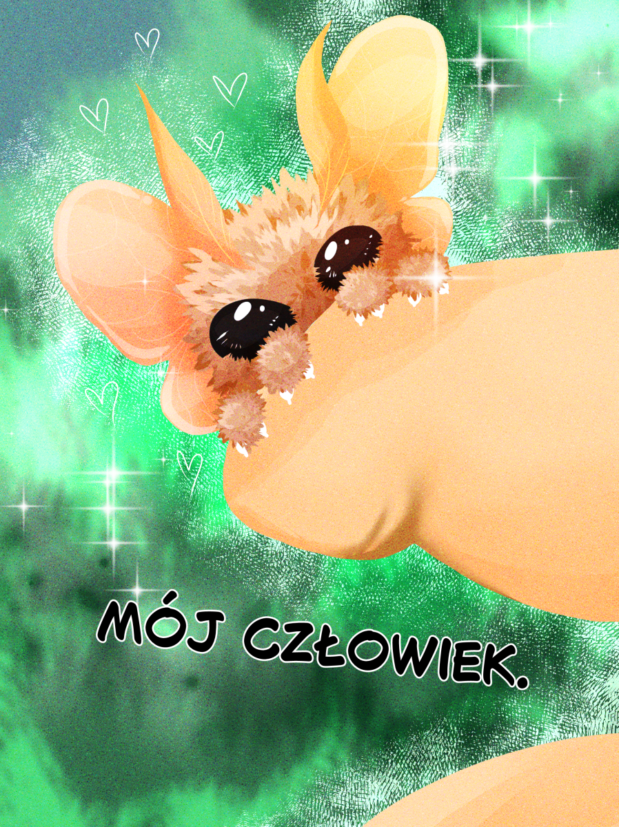 Finałowa strona komiksu "Mój człowiek" autorstwa Karoliny "lomcii" Przybył (zin "Pomimo"). Malarski digital painting z wyraźnym cyfrowym ziarnem i efektami świetlnymi. Kadr w dużym zbliżeniu pokazuje puszystą, beżowo-pomarańczową ćmę, która całym ciałem tuli się do ludzkiego policzka. Ćma ma wielkie, czarne, lśniące oczy i delikatne czułki. Wokół postaci unoszą się białe serduszka (lineart) oraz lśniące iskierki. Tło jest rozmyte, w odcieniach intensywnej, szmaragdowej zieleni.Treść napisu na dole:MÓJ CZŁOWIEK.